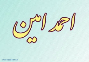 احمد امین,فیلسوف معروف,فقیه اصولی,مفسر,فقیه بزرگ شیعه,گنجینه تصاویر ضیاءالصالحین