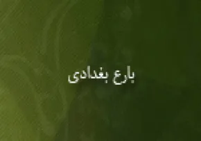 بارع بغدادی