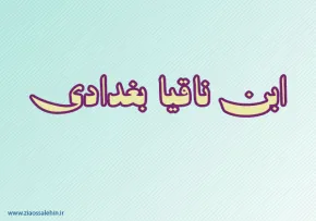 ابن ناقیا,ابن ناقیا بغدادی,نویسنده معروف,شاعر بغدادی,گنجینه تصاویر ضیاءالصالحین