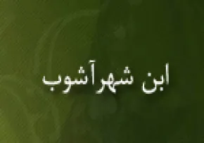 محمد بن علی بن شهر آشوب مازندرانی(گنجینه تصاویر ضیاءالصالحین)
