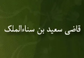 قاضی سعید بن سناء الملك,ادیب مصری,گنجینه تصاویر ضیاءالصالحین