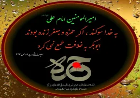 ضیاءالصالحین