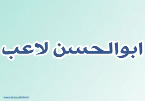ابوالحسن لاعب,گنجینه تصاویر ضیاءالصالحین