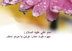 مدارا کردن با مردم