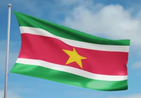 پرچم سورینام,Suriname,گنجینه تصاویر ضیاءالصالحین