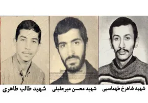 شهادت سه پاسدار كمیته انقلاب اسلامی,گنجینه تصاویر ضیاءالصالحین