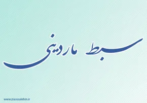 سبط ماردینی,گنجینه تصاویر ضیاءالصالحین