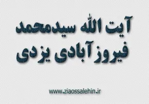 آیت الله سیدمحمد فیروزآبادی یزدی,عالم دینی,عالم ربانی,گنجینه تصاویر ضیاءالصالحین