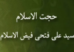 سیدعلی افتحی, فیض الاسلام, گنجینه تصاویر ضیاءالصالحین