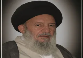 آیت الله سیدمحمدباقر مصطفوی,گنجینه تصاویر ضیاءالصالحین