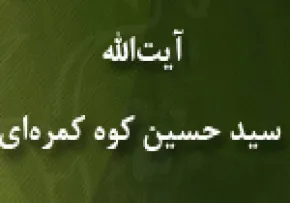 آیت الله سیدحسین کوه کمره ای(گنجینه تصاویر ضیاءالصالحین)