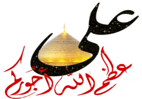 ضیاءالصالحین