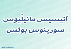 آنیسیس مانیلْیوس سورینوس بوئس,گنجینه تصاویر ضیاءالصالحین