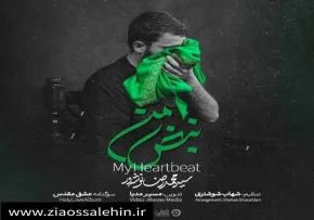 مداحی «نبض من» با صدای سید محمدرضا نوشه‌ور | متن، صوت و کلیپ تصویری