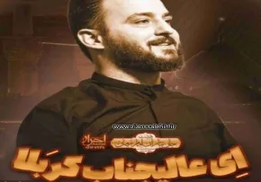 نماهنگ «ای عالیجناب کربلا» با نوای وحید شکری