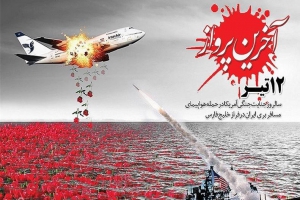 سرنگونی هواپیمای مسافربری ایران,گنجینه تصاویر ضیاءالصالحین