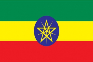 روز ملی اتیوپی,پرچم اتیوپی,گنجینه تصاویر ضیاءالصالحین