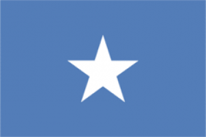 استقلال سومالی,پرچم سومالی,گنجینه تصاویر ضیاءالصالحین