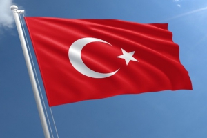 پرچم ترکیه,گنجینه تصاویر ضیاءالصالحین