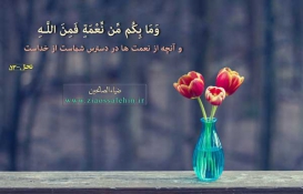 شکرگزاری شکرگزاری