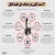 اینفوگرافیک | هفت سنت الهی در مصاف حق علیه باطل