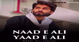 نماهنگ «ناد علی یاد علی» از مهدی علی شجاعی | NAAD E ALI YAAD E ALI 
