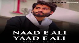 نماهنگ «ناد علی یاد علی» از مهدی علی شجاعی | NAAD E ALI YAAD E ALI 