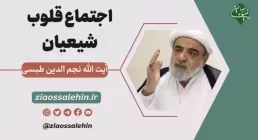 صوت | اجتماع قلوب شیعیان - آیت الله نجم الدین طبسی