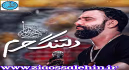 نماهنگ«دلتنگ حرم» با نوای جواد مقدم (کلیپ،صوت، متن) / ویژه ی اربعین