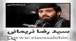 نماهنگ «مسافر» از سید رضا نریمانی (کلیپ، صوت، متن)