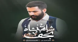 نماهنگ «شاهنشاه نجف» با نوای حسین طاهری (صوت، متن)