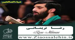 نماهنگ «بیعت میکنم» از سید رضا نریمانی (کلیپ، صوت، متن)