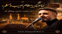 نماهنگ «سلام حبیب و مسلم» از محمد حسین پویانفر | مناجات سوزناک با امام حسین علیه السلام