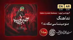 نماهنگ «منو میشناسی مگه نه» از سید مجید بنی فاطمه | ماه محرم 1405