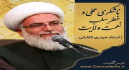 ناشکری عملی و خطر سلب نعمت ولایت | استاد حیدری کاشانی