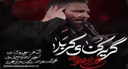نماهنگ «گریه کنای کربلا» از محمد حسین حدادیان | ویژه شهادت امام رضاعلیه السلام