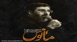 نماهنگ «مأنوس» از سید رضا نریمانی | ویژه شهادت امام رضاعلیه السلام