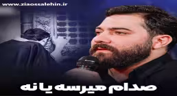 نماهنگ «صدام میرسه یا نه» از امین قدیم؛ مناجاتی دلنشین با امام حسین علیه السلام