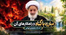 مبارزه با گناه و راهکارهای آن | آیت الله مجتهدی تهرانی