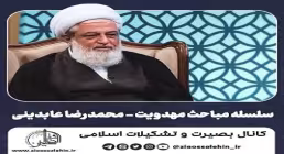سلسله مباحث مهدویت | انتظار فرج - استاد محمدرضا عابدینی (جلسه 22)