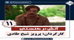 سریال آتش در گلستان قسمت 11 , سریال آتش در گلستان قسمت یازدهم