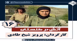 سریال آتش در گلستان قسمت 16 , سریال آتش در گلستان قسمت شانزدهم