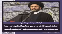 امربه‌معروف با سطل ماست, آیت‌الله عاملی