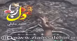 آهنگ دلربا با صدای حامد جلیلی
