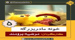 دانلود سریال کارتونی خونه مادربزرگه - قسمت 5 پنجم