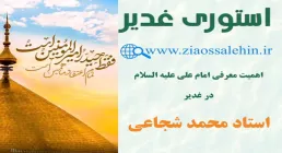 استوری اهمیت معرفی امام علی علیه السلام
