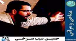 ضیاءالصالحین