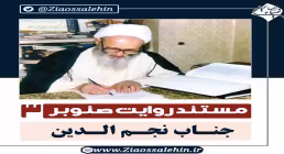 قسمت سوم مستند روایت صنوبر, علامه حسن زاده , جناب نجم الدین
