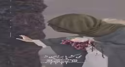 استوری امام جواد | غریب آقام