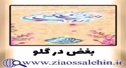 استوری اینستاگرام همدلی برای ظهور / بغض در گلو